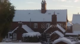 pigeon takes a spin and gets a 360 degree lookout view