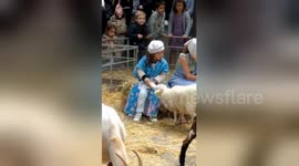 Newsflare Edit - Little girl feeding goat