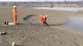 Firemen frees boy stuck in wetland