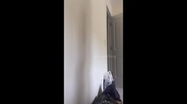 Prankish wife that I sold her favorite shoes