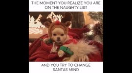 Putting out the I’m not naughty vibe