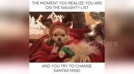 Newsflare Edit - Putting out the I’m not naughty vibe