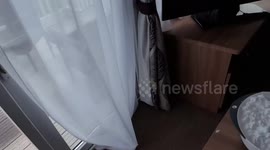 Prank war - surprise pie and bowl of shaving foam for the wifey