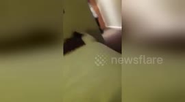 Newsflare Edit - Prank war - stag do pie in the face