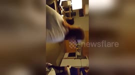 Newsflare Edit - Prank war - wife's first pie in the face