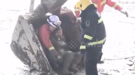 Firefighters frees woman trapped in wetland