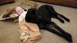 Baby laughs with dog and waves to camera