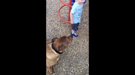 Dog and Childs love