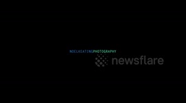 Asteroid 3200 Phaethon Timelapse