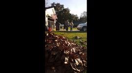 Fall Leaves Fun!