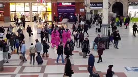 Group of lads dressed as Pink Flamingos spotted in Victoria Station, London