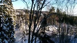 Enjoy the scenery