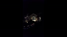Amazing Christmas lights!