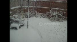 snow  is coming