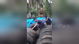 Newsflare Edit - Transport workers save new-born pup from getting crushed under heavy tyres