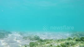 Fondali Baia Dorica 24-08-2017
