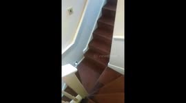 Howling dogs don’t think anyone is home