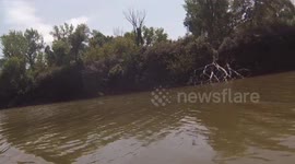 Big Fish Jumps in Boat - Angle 2