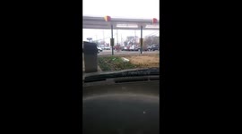 Chickens at sonic parking lot ... only in the south!