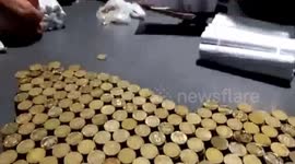 Man uses £8,000 worth of COINS to pay for car
