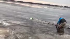 Saving Sky, the Snowy Owl