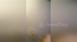 Newsflare Edit - Baby runs away with mother's phone and records herself 2