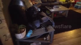 Someone opened the presents early
