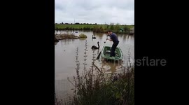 RAW VERSION: Hilarious moment angry swan attacks two UK workmen