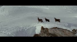 The gorgeous Matterhorn mountain in Italy - Cinematic aerial views