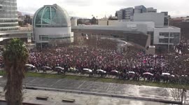 Women’s March Downtown San Jose