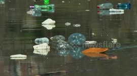 Plastic pollution covers Albanian lake
