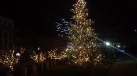 Painted New Year tree & Christmas tree