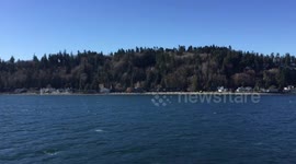 Ferry to Bainbridge Island from Seattle