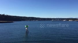A shot from a ferry going to Bainbridge Island in seattle
