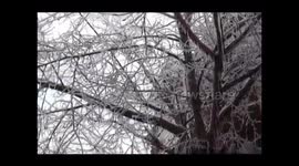 Early February 2014 Ice Storm - Frederick, Maryland