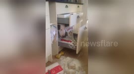 Newsflare Edit - Dog gets stuck in drawer after wrecking owner's kitchen