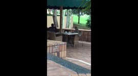 Monkey steals girl's pancakes during breakfast