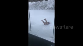 Boy dives into feet of snow in Erie, Pennsylvania