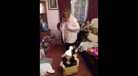 Girl sitting in a Box then falls out falling on to womans foot
