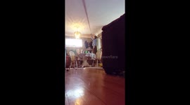 Catboy from 'PJ Masks' slacklines across living room