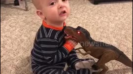 Baby's confused reaction to big brother's Christmas dinosaur toy