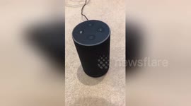 Here is Amazon Alexa's favourite Christmas song