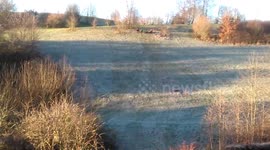 Ice sledge racing carnage!