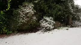 Snowing in Roundhay Leeds West Yorkshire