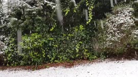 Snowing in Roundhay Leeds West Yorkshire