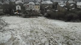 Sledging carnage!