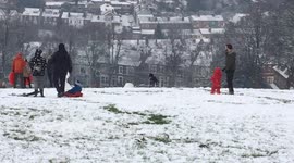 Snow fun with amazing jumping dog