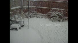 Snow blankets this garden in Stockton-on-Tees