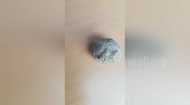 Newsflare Edit - Strange rattling rock