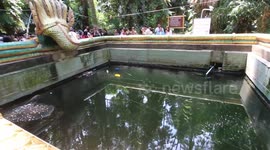 Kham Chanote portal to the Naga Serpent underworld in Udon province, Thailand.